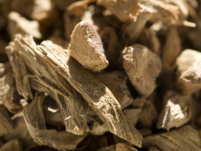 Teerezept: Galgantwurzelstock