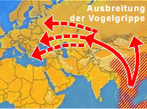 Ausbreitung der Vogelgrippe