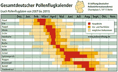 Pollenflug-Vorhersage