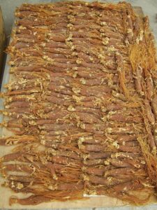 Ginsengwurzel aus rotem Ginseng