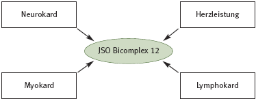 DHU Bicomplex 12 – Herzmittel