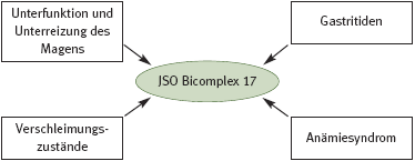 DHU Bicomplex 17 – Magenmittel 2 (Hypazidität)