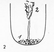 Zungenbild