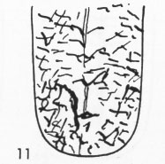 Zungenbild