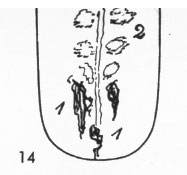 Zungenbild