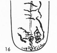 Zungenbild