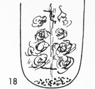 Zungenbild