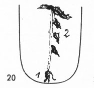 Zungenbild