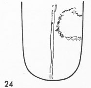 Zungenbild
