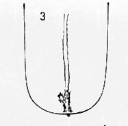 Die Zungen-Topographie der Verdauungsorgane