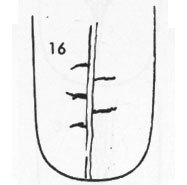 Die Zungen-Topographie der Verdauungsorgane