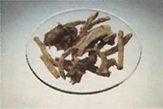 Phytotherapeutische Welt - 1983