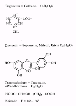 Phytotherapeutische Welt - 1983