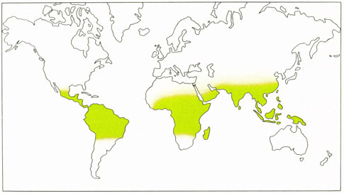 Phytotherapeutische Welt - 1983