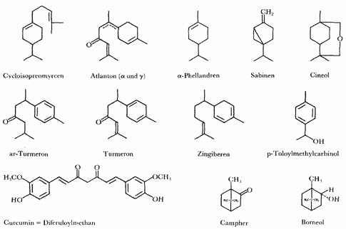 Phytotherapeutische Welt - 1983