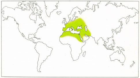 Phytotherapeutische Welt - 1983