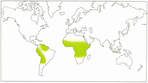 Phytotherapeutische Welt - 1983