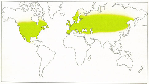 Phytotherapeutische Welt - 1983