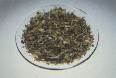 Phytotherapeutische Welt - 1983