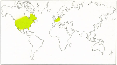 Phytotherapeutische Welt - 1983