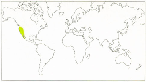 Phytotherapeutische Welt - 1983