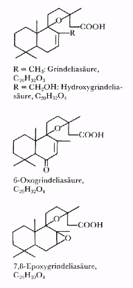 Phytotherapeutische Welt - 1983