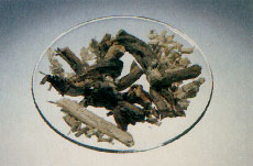 Phytotherapeutische Welt - 1983