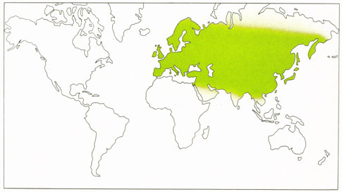 Phytotherapeutische Welt - 1983