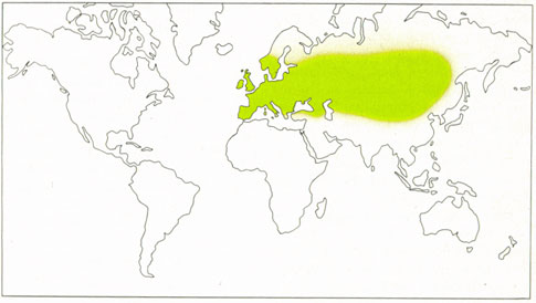 Phytotherapeutische Welt - 1983