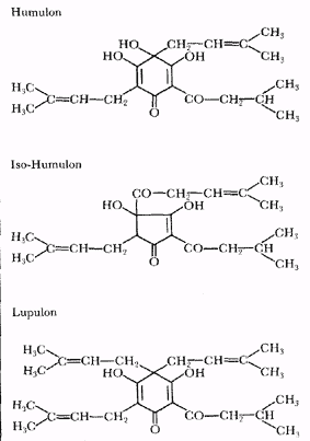 Phytotherapeutische Welt - 1983