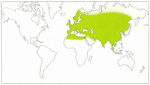 Phytotherapeutische Welt - 1983