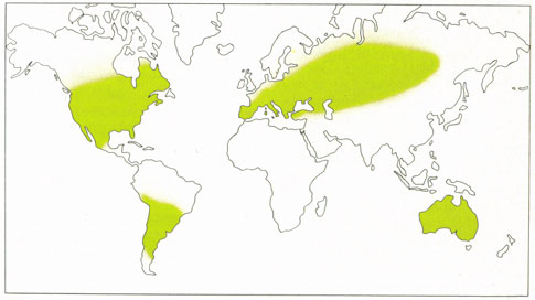 Phytotherapeutische Welt - 1983