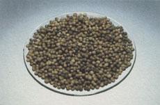 Phytotherapeutische Welt - 1983