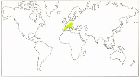 Phytotherapeutische Welt - 1983