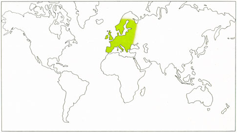 Phytotherapeutische Welt - 1983