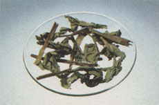 Phytotherapeutische Welt - 1983