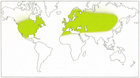 Phytotherapeutische Welt - 1983