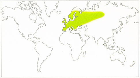 Phytotherapeutische Welt - 1983