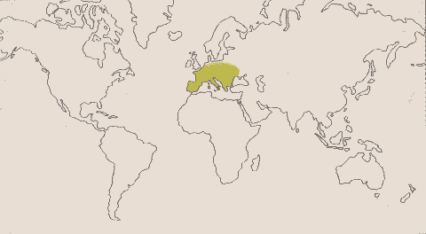 Phytotherapeutische Welt - 1983