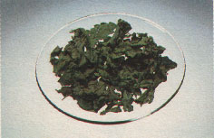 Phytotherapeutische Welt - 1983