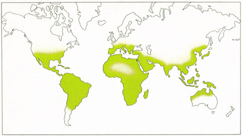 Phytotherapeutische Welt - 1983