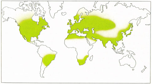 Phytotherapeutische Welt - 1983