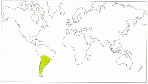 Phytotherapeutische Welt - 1983