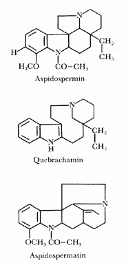 Phytotherapeutische Welt - 1983