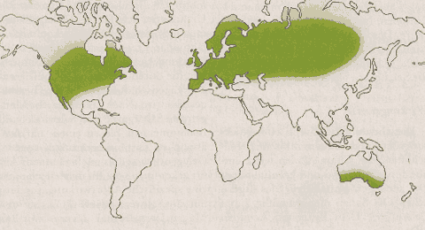 Phytotherapeutische Welt - 1983