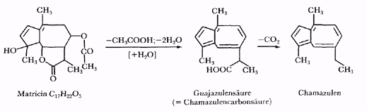Phytotherapeutische Welt - 1983