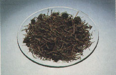 Phytotherapeutische Welt - 1983