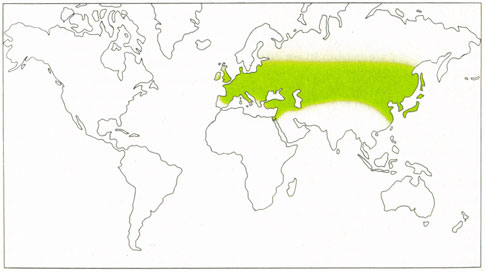 Phytotherapeutische Welt - 1983
