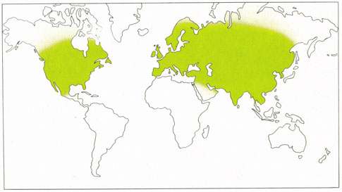 Phytotherapeutische Welt - 1983