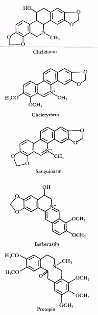 Phytotherapeutische Welt - 1983